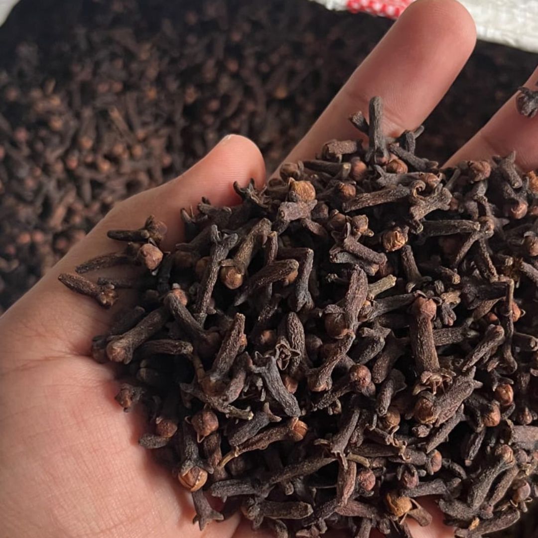 Turmeric Processing