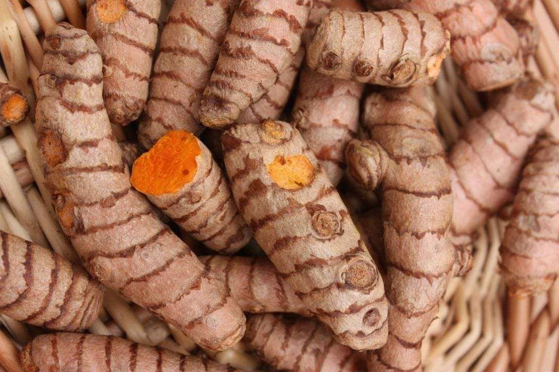 Turmeric Processing